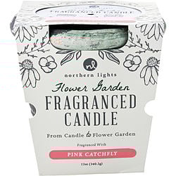 Flower Garden Pink Catchfly By